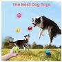 FTXJ 6PCS Puppy Dog Toys Chewing Squeaky Toy for Pet Dog with Sound Squeaker Squeaky Ball with Face Fetch Toy (3.255.253.25cm, Random)