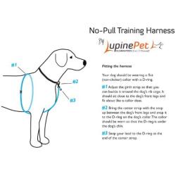 LupinePet Originals 3/4'' No Pull Harness 16-26'' for Small to Medium Dogs