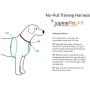 LupinePet Originals 3/4'' No Pull Harness 16-26'' for Small to Medium Dogs