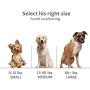 oneisall Dog Toys for Aggressive Chewers,Indestructible Pet Chew Toys Bone for Puppy Dogs