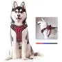 voopet Dog Harness, No Pull Pet Vest Harness with Handle Easy Control on Training, Walking, Hiking - Reflective Adjustable Outdoor Pet Halters for Small Medium Large Dogs All Weather voopet Dog Harness, No Pull Pet Vest Harness with Handle Easy Control on Training, Walking, Hiking - Reflective Adjustable Outdoor Pet Halters for Small Medium Large Dogs All Weather