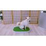 Wonpad-A Smart Dog Potty Free from Pee Pads!Automatical Pee Sensing and Pumping! Smart Pee Collecting!