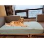 ZISU Washable Puppy Pads XXL Large Size of 36''x72'' Dog Training Pad,Waterproof and Reusable Pee Pads for Housebreaking,Travel,Incontinence,Great for Bed Wetting,Mattress Protection