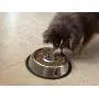 Kobys Paws Stainless Steel Slow Feed Interactive Dog Bowl with Non-Slip Bottom Prevents Bloat, Rapid Eating and Improves Digestive Health Kobys Paws Stainless Steel Slow Feed Interactive Dog Bowl with Non-Slip Bottom Prevents Bloat, Rapid Eating and Improves Digestive Health