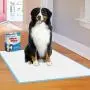 Wee-Wee Puppy Training Pee Pads 8-Count 27.5'' x 44'' Gigantic Size Pads for Dogs