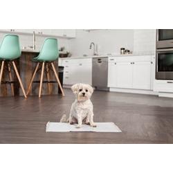 IRIS Neat n Dry Premium Training Pads
