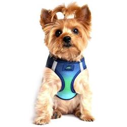 DOGGIE DESIGN American River Dog Harness Ombre Collection - Northern Lights