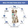 PetsBark Suction Cup Dog Chew Toy for Aggressive Chewers, Dogs Teeth Cleaning Rope Toys