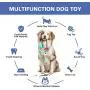 PetsBark Suction Cup Dog Chew Toy for Aggressive Chewers, Dogs Teeth Cleaning Rope Toys