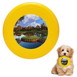Pet Frisbee Flying Disc Dog Toy - Multifunction Sawgrass 17th Hole Tim Gilliland