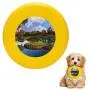 Pet Frisbee Flying Disc Dog Toy - Multifunction Sawgrass 17th Hole Tim Gilliland
