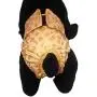 Barkertime Dog Diapers - Made in USA - Golden Cheetah Washable Dog Diaper for Incontinence, Housetraining and Dogs in Heat