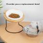 Jemirry Ceramic Titl Angle Elevated Raised Pet Bowl with Wood Stand for Cats and Puppy, Cat Food Water Basic Bowl