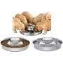 King International Stainless Steel Dog Bowl 2 Puppy Litter Food Feeding Weaning|SilverStainless Dog Bowl Dish| Set of 2 Pieces | 29 cm - for Small/Medium/Large Dogs, Pets Feeder Bowl and Water Bowl King International Stainless Steel Dog Bowl 2 Puppy Litter Food Feeding Weaning|SilverStainless Dog Bowl Dish| Set of 2 Pieces | 29 cm - for Small/Medium/Large Dogs, Pets Feeder Bowl and Water Bowl