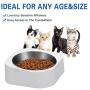 Cat Dog Food Bowls:Slanted Cat Bowls for Food and Water,Stainless Steel Dog Bowl with Heavy Stand for Cats and Small Dogs,Non-Slip Non-Spill and Easier to Reach Food