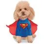 DC Comics Superman Shirt and Cape Pet Costume