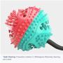 TuoTang Teeth Cleaning Dog chew Toy Distribution