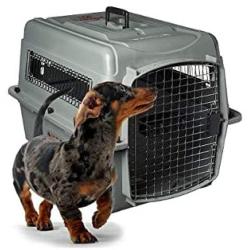 Petmate Sky Kennel Pet Carrier