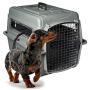 Petmate Sky Kennel Pet Carrier