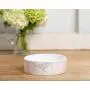 Park Life Designs Large Pet Bowl, Vienna Pattern, 8-1/2 inch Heavyweight Ceramic Dish Stays Put, Microwave and Dishwasher Safe Park Life Designs Large Pet Bowl, Vienna Pattern, 8-1/2 inch Heavyweight Ceramic Dish Stays Put, Microwave and Dishwasher Safe