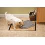 PetSafe 5-Meal Pet Feeder, 15.5 in