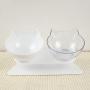 Double Cat Bowl with Stand, Transparent Pet Raised Plastic Bowls for Cat Small Dog