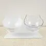 Double Cat Bowl with Stand, Transparent Pet Raised Plastic Bowls for Cat Small Dog