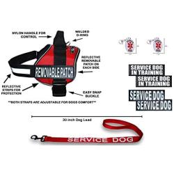 Doggie Stylz Official Service Dog in Training Vest Harness Bundle Kit. Includes Set of Service Dog + Service Dog in Training Removable Reflective Patches + 30 inch Lead + 2 ID Dog Tags