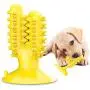 FULNEW Dog Toothbrush Chew Toys Suction Cup Dog Toy Dog Teeth Cleaning Toys Dog Brushing Cactus for Dental Care FULNEW Dog Toothbrush Chew Toys Suction Cup Dog Toy Dog Teeth Cleaning Toys Dog Brushing Cactus for Dental Care