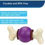 PetSafe Busy Buddy Bouncy Bone, Treat Holding Dog Toy, Small, Medium, Medium/Large and Large Sizes