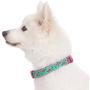 Blueberry Pet 10 Patterns Zoo Fun Dog Collars