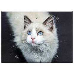Triple Blank Wall Plate Cover - Cats Cat Pet Cat Face Kitten