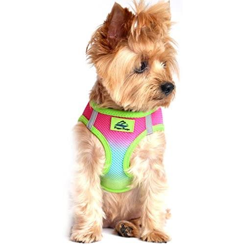 Ultra Choke Free Step in Reflective Dog Harness American River Ombre Rainbow