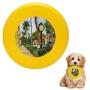 Pet Frisbee Flying Disc Dog Toy - Multifunction 5th Avenue Naples Florida Christine Hopkins