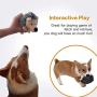CPYOSN Hedgehog Dog Toys, Dog Squeak Plush Pet Toys Intreactive Training Stuffed Dog Chew Toys for Puppies and Small Dogs, 2 Pack