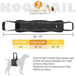 Dog Lift Harness Pet Sling Support - Dog Lifting Harness Vest for Rear Legs with Reflective Band Adjustable Straps Detachable Fleece for Medium Large Dogs All Season Available