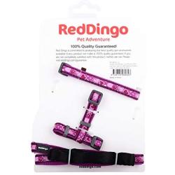 Red Dingo Breezy Love Purple Puppy Pack (Collar, Lead & Harness), One Size