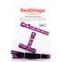 Red Dingo Breezy Love Purple Puppy Pack (Collar, Lead & Harness), One Size