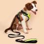 MUDINPET Dog Harness Vest with 4ft Leash, Small Medium Large Dog Harness, Puppy Training No Pull Vest, Reflective Safety Comfort for Walk 4ft Lead