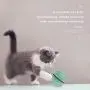 Mini Cat Toy Ball, Portable Automatic 360 ° Self-Rotating USB Rechargeable Cat Exercise Ball, with LED Light, for Indoor and Outdoor Use (1 Pcs, Green) Mini Cat Toy Ball, Portable Automatic 360 ° Self-Rotating USB Rechargeable Cat Exercise Ball, with LED Light, for Indoor and Outdoor Use (1 Pcs, Green)