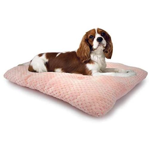 MUMUPET Plush Pet Dog Bed Pad | Machine Wash & Drying | Traditional Sofa-Style Cat Bed, Puppy Bed, Rabbit Bed | Dog Mat for Extra Small Dogs and Puppies