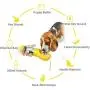 Devsolution Dog Water Bottle for Walking 10oz Travel Puppy Water Bottles Portable Leak Proof Pet Water Drinking Feeder with 2pcs Potty Waste Bags for Outdoor Hiking Walks Activities Devsolution Dog Water Bottle for Walking 10oz Travel Puppy Water Bottles Portable Leak Proof Pet Water Drinking Feeder with 2pcs Potty Waste Bags for Outdoor Hiking Walks Activities