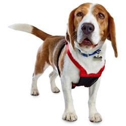 Good2Go Red No Pull Dog Harness, Medium