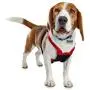 Good2Go Red No Pull Dog Harness, Medium