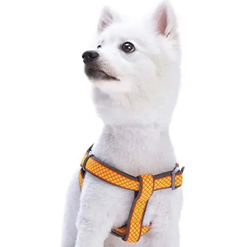 Blueberry Pet 2 Colors Soft & Comfy Urban Chic Diamond Pattern Padded Dog Harness Blueberry Pet 2 Colors Soft & Comfy Urban Chic Diamond Pattern Padded Dog Harness