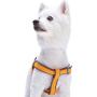 Blueberry Pet 2 Colors Soft & Comfy Urban Chic Diamond Pattern Padded Dog Harness