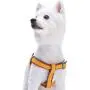 Blueberry Pet 2 Colors Soft & Comfy Urban Chic Diamond Pattern Padded Dog Harness Blueberry Pet 2 Colors Soft & Comfy Urban Chic Diamond Pattern Padded Dog Harness