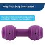 PetSafe Busy Buddy Chuckle Dog Toy