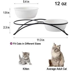 ZONEYILA Cat Food Dish, Elevated Cat Food Water Bowls,Raised Cat Bowls with Stand,Ceramic Pet Bowls, Shallow Cat Dish, Dog Food Bowls, 12 Oz