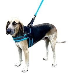 Dog Harness